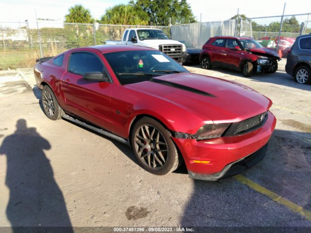 FORD MUSTANG 2011 1zvbp8am8b5118921