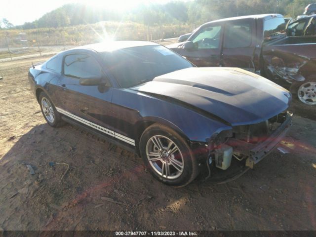 FORD MUSTANG 2011 1zvbp8am8b5120765