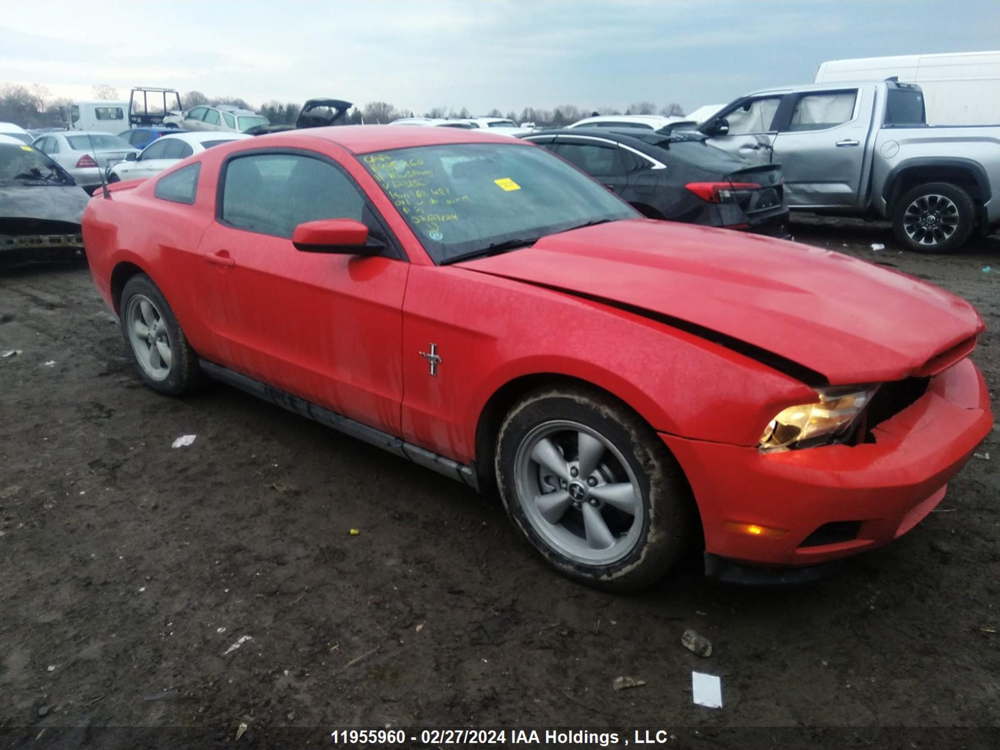 FORD MUSTANG 2011 1zvbp8am8b5123150