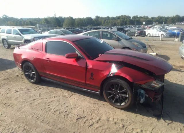 FORD MUSTANG 2011 1zvbp8am8b5124606