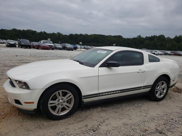 FORD MUSTANG 2011 1zvbp8am8b5130180