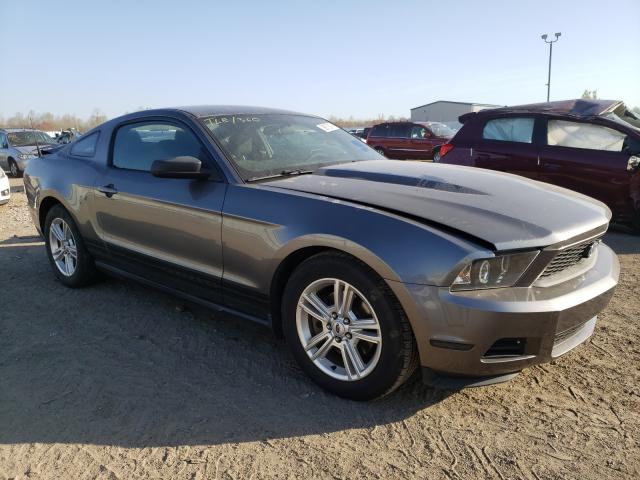 FORD MUSTANG 2011 1zvbp8am8b5131023