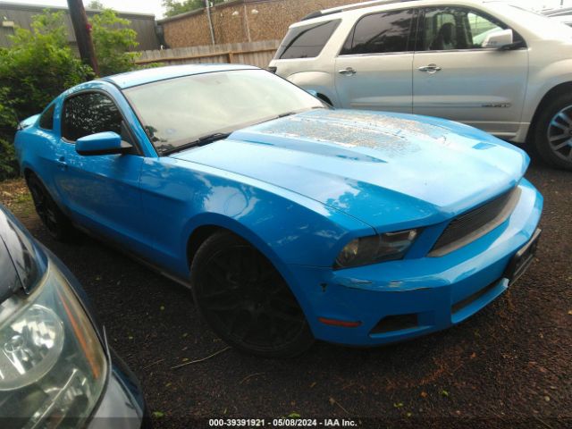 FORD MUSTANG 2011 1zvbp8am8b5131278