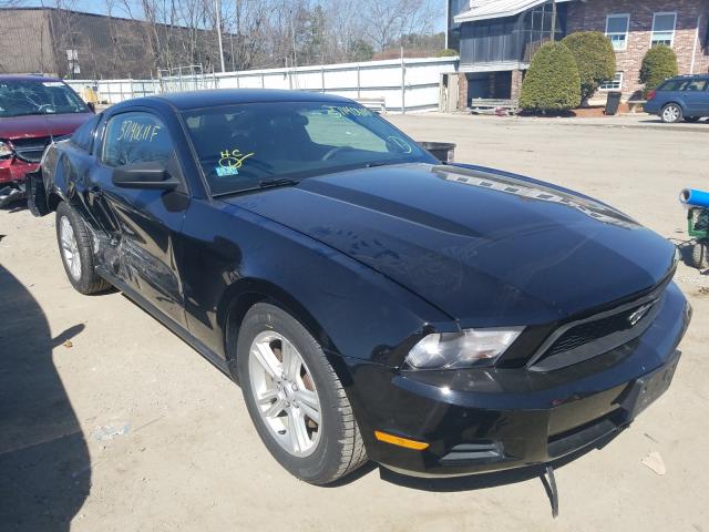 FORD MUSTANG 2011 1zvbp8am8b5132348