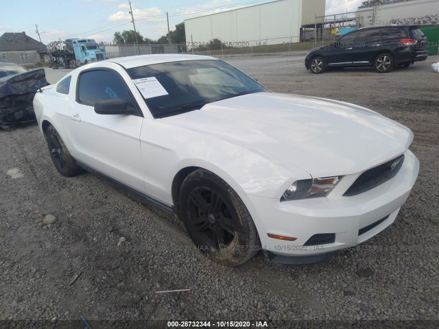 FORD MUSTANG 2011 1zvbp8am8b5133144