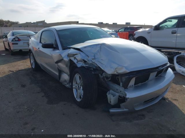 FORD MUSTANG 2011 1zvbp8am8b5134097