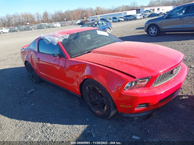 FORD MUSTANG 2011 1zvbp8am8b5134178