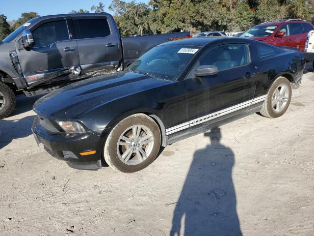 FORD MUSTANG 2011 1zvbp8am8b5134794