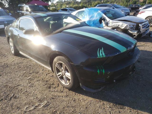 FORD MUSTANG 2011 1zvbp8am8b5135752