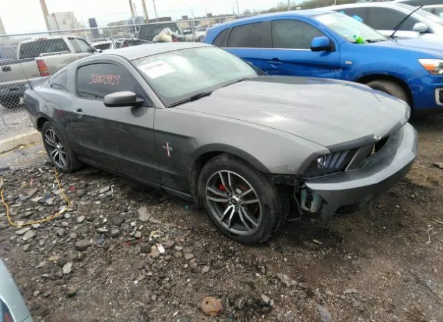 FORD MUSTANG 2011 1zvbp8am8b5135959