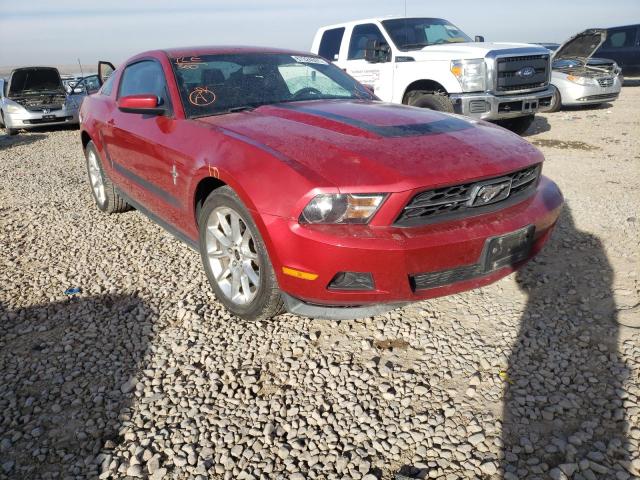 FORD MUSTANG 2011 1zvbp8am8b5137324