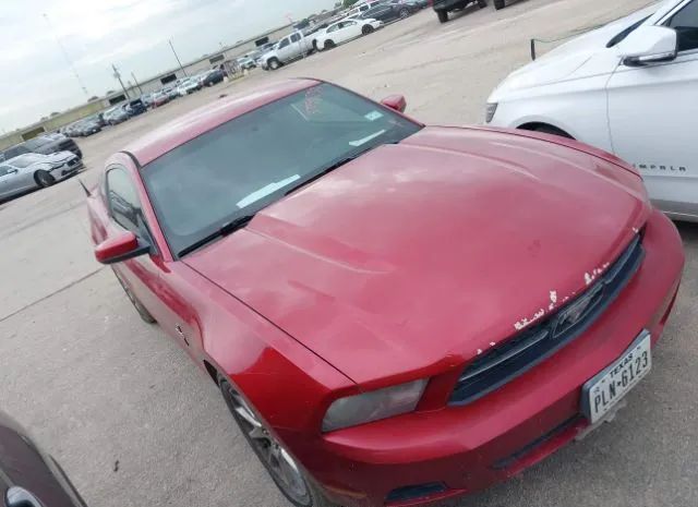 FORD MUSTANG 2011 1zvbp8am8b5139705