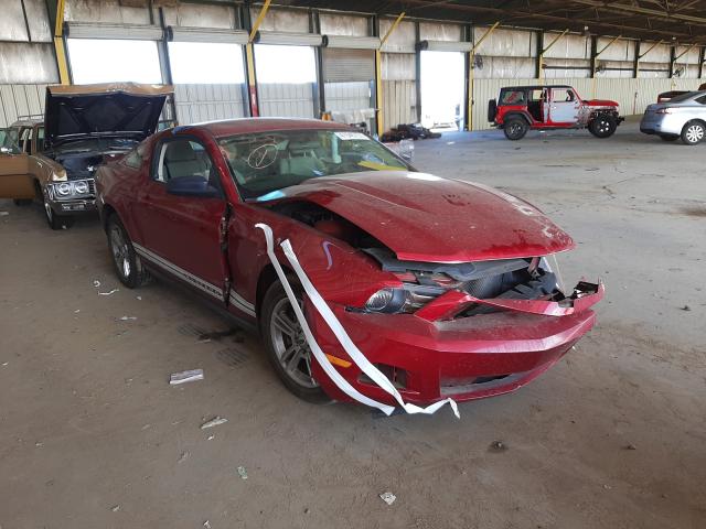 FORD MUSTANG 2011 1zvbp8am8b5140708