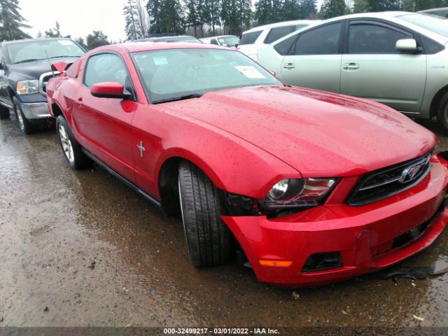 FORD MUSTANG 2011 1zvbp8am8b5141311