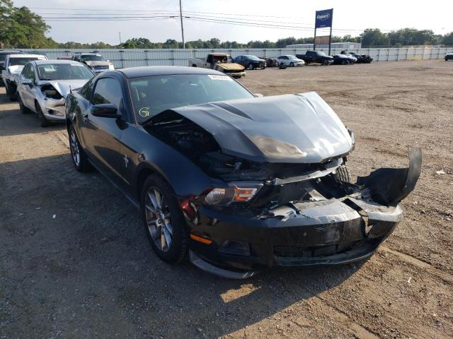 FORD MUSTANG 2011 1zvbp8am8b5142992