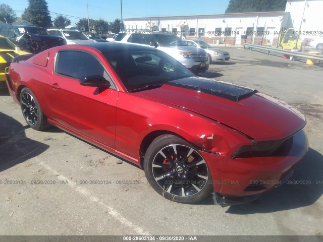 FORD MUSTANG 2011 1zvbp8am8b5147769