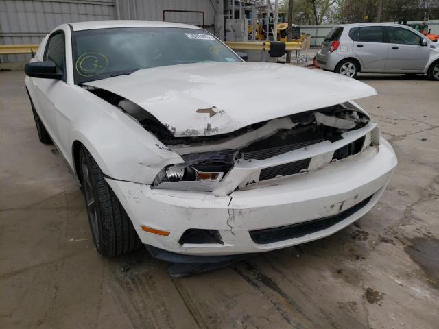 FORD MUSTANG 2011 1zvbp8am8b5148095