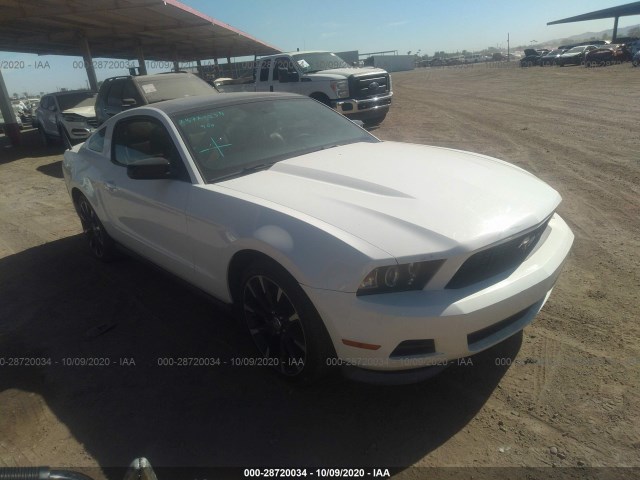 FORD MUSTANG 2011 1zvbp8am8b5148310