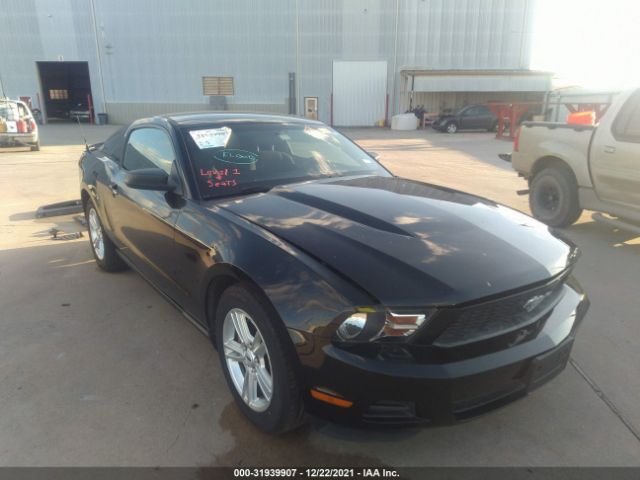 FORD MUSTANG 2011 1zvbp8am8b5151952