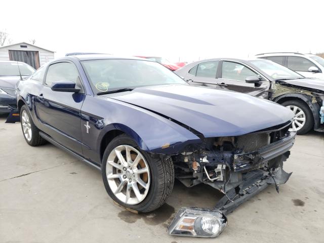 FORD MUSTANG 2011 1zvbp8am8b5151966