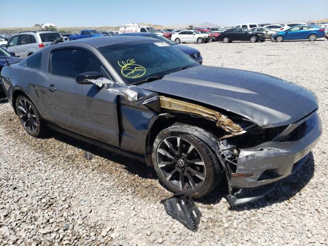 FORD MUSTANG 2011 1zvbp8am8b5157265