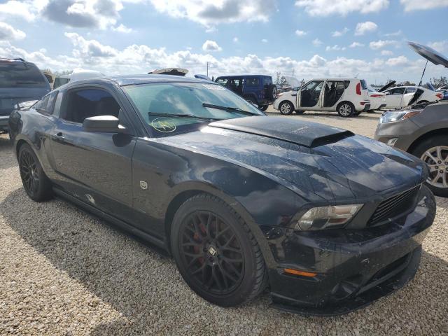 FORD MUSTANG 2011 1zvbp8am8b5158321