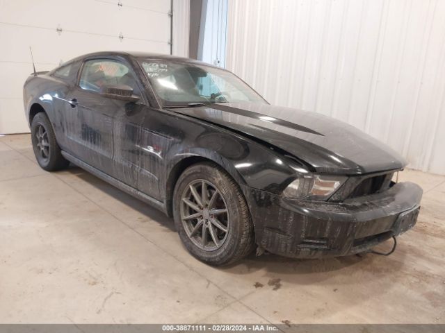 FORD MUSTANG 2011 1zvbp8am8b5158545