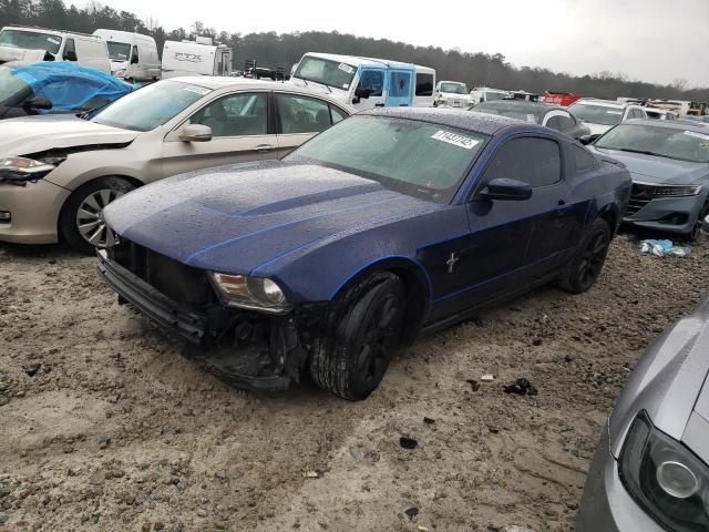 FORD MUSTANG 2011 1zvbp8am8b5163826