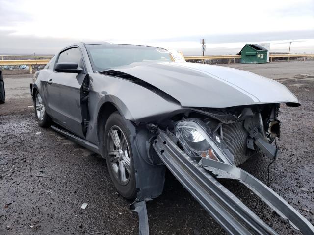 FORD MUSTANG 2011 1zvbp8am8b5165463