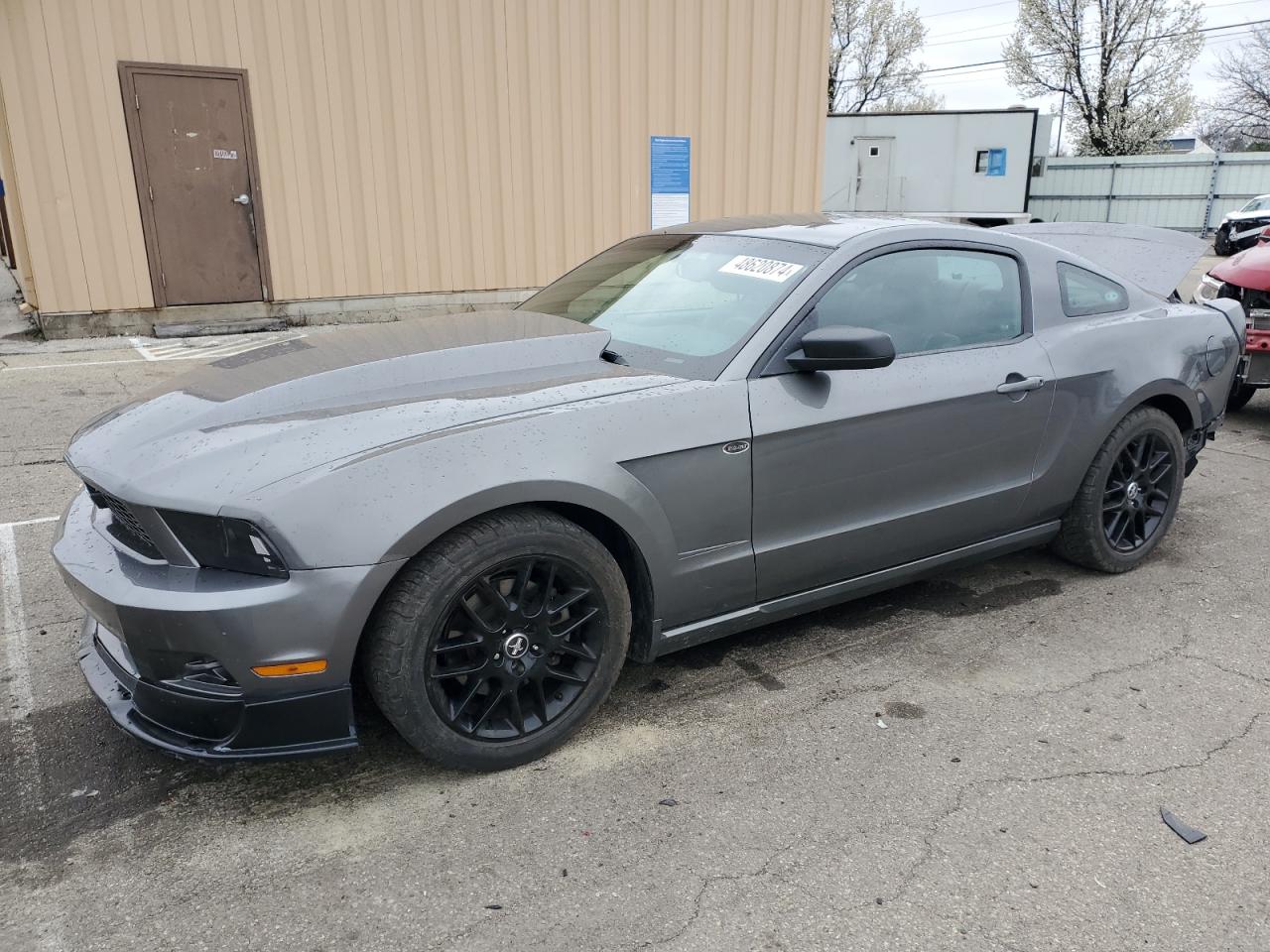 FORD MUSTANG 2011 1zvbp8am8b5165933