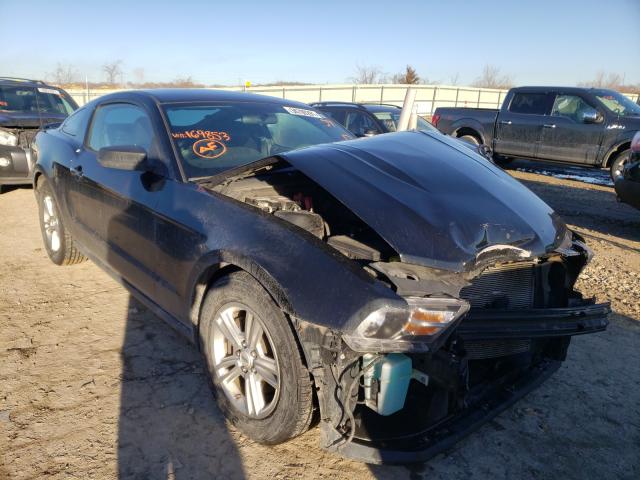 FORD MUSTANG 2011 1zvbp8am8b5169853