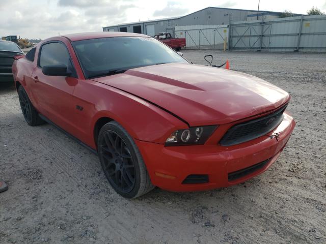 FORD MUSTANG 2012 1zvbp8am8c5251180