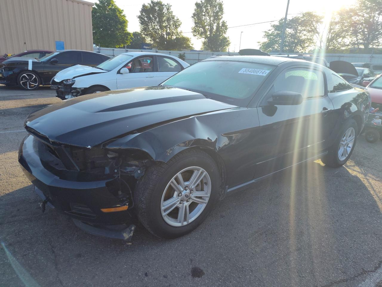 FORD MUSTANG 2012 1zvbp8am8c5264494