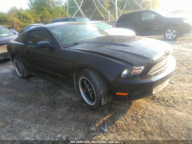 FORD MUSTANG 2012 1zvbp8am8c5268903