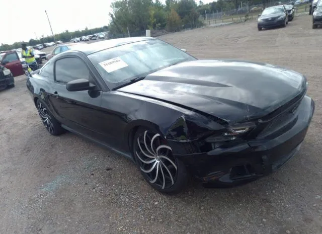 FORD MUSTANG 2012 1zvbp8am8c5280212