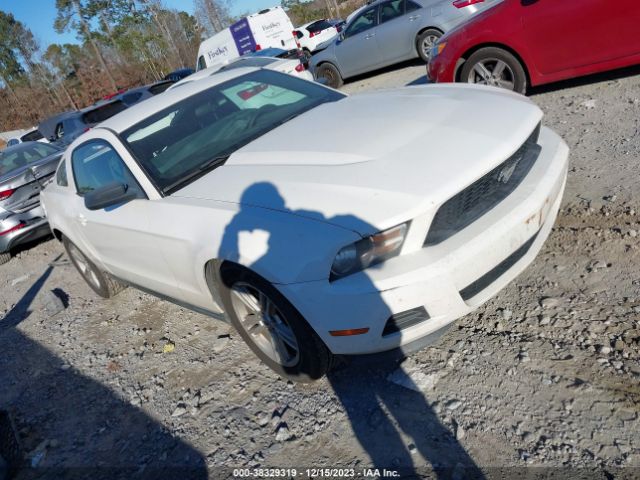 FORD MUSTANG 2012 1zvbp8am8c5280677