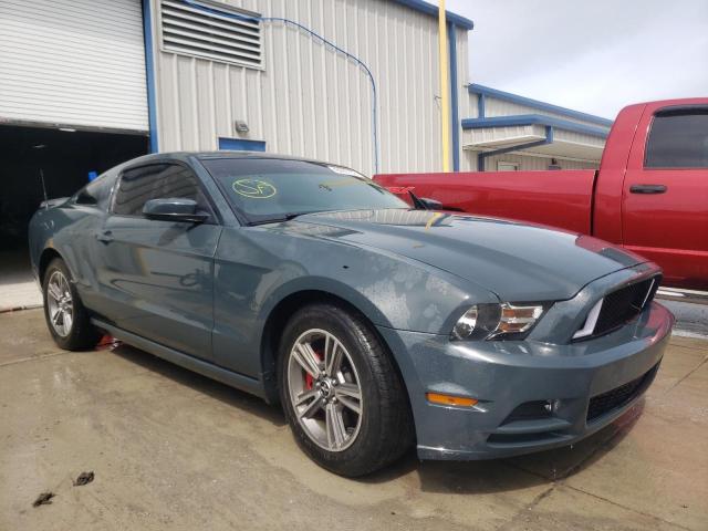 FORD MUSTANG 2013 1zvbp8am8d5201039