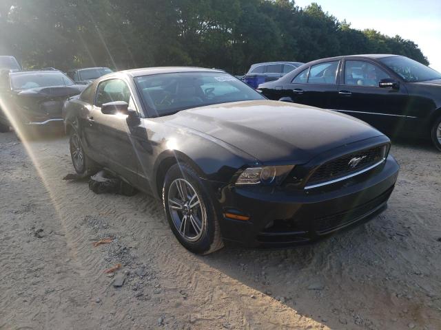 FORD MUSTANG 2013 1zvbp8am8d5204216