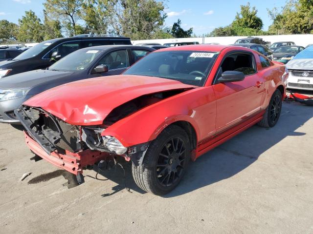 FORD MUSTANG 2013 1zvbp8am8d5204989