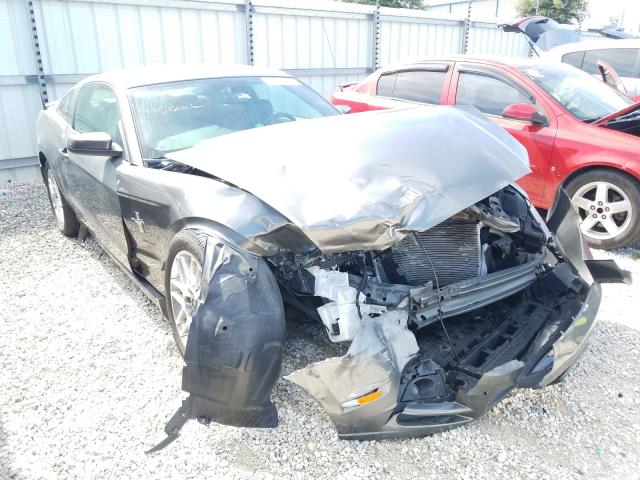 FORD MUSTANG 2013 1zvbp8am8d5207228