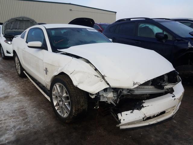 FORD MUSTANG 2013 1zvbp8am8d5214793