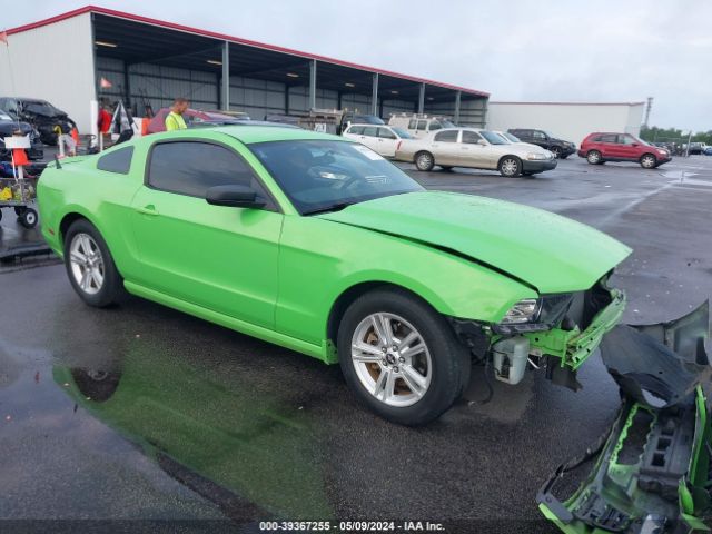 FORD MUSTANG 2013 1zvbp8am8d5215233