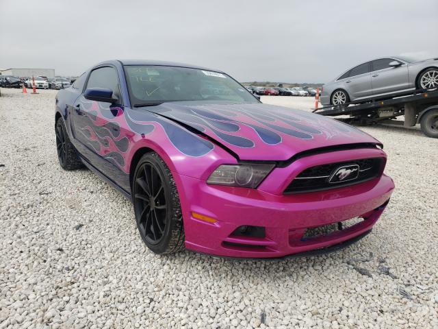 FORD MUSTANG 2013 1zvbp8am8d5216012