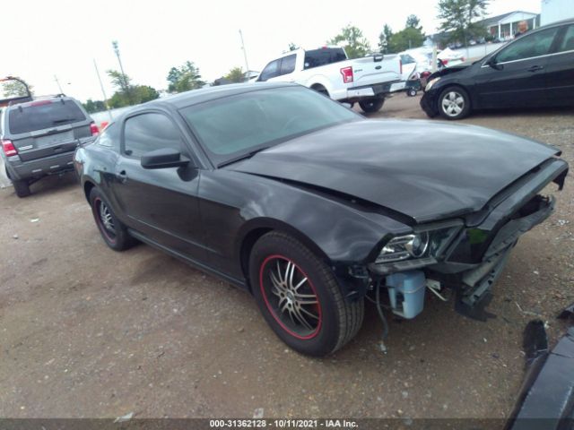 FORD MUSTANG 2013 1zvbp8am8d5217550