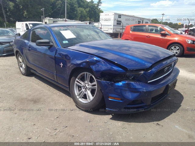 FORD MUSTANG 2013 1zvbp8am8d5217841