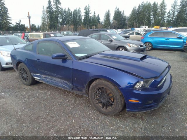 FORD MUSTANG 2013 1zvbp8am8d5219069