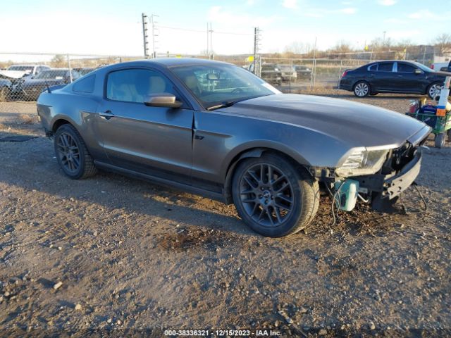 FORD MUSTANG 2013 1zvbp8am8d5219945