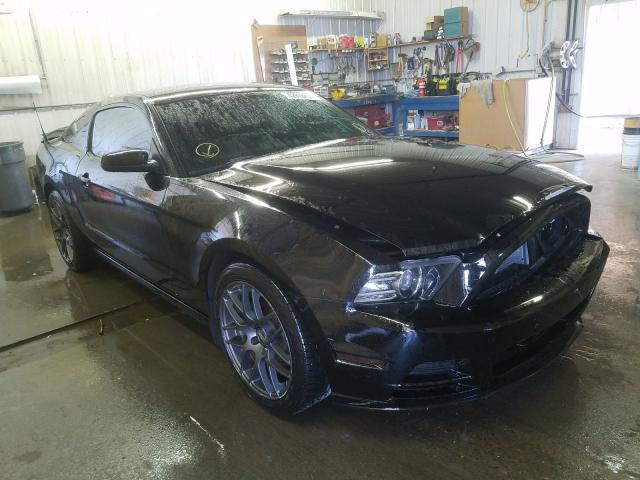 FORD MUSTANG 2013 1zvbp8am8d5220559