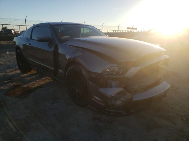 FORD MUSTANG 2013 1zvbp8am8d5233800