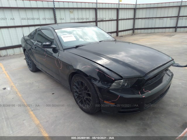 FORD MUSTANG 2013 1zvbp8am8d5243632